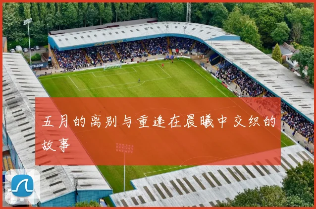 五月的离别与重逢在晨曦中交织的故事
